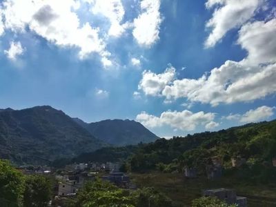 深圳铁汉生态环境股份公司考察团到我县考察生态旅游发展