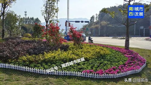 门面大升级 揭西甬莞高速这个出入口华丽变身