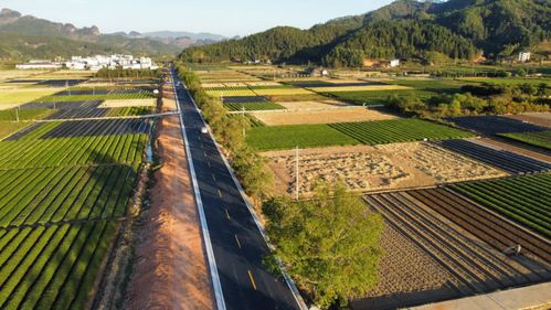 我省第三批 最美乡村 福 路 名单公布